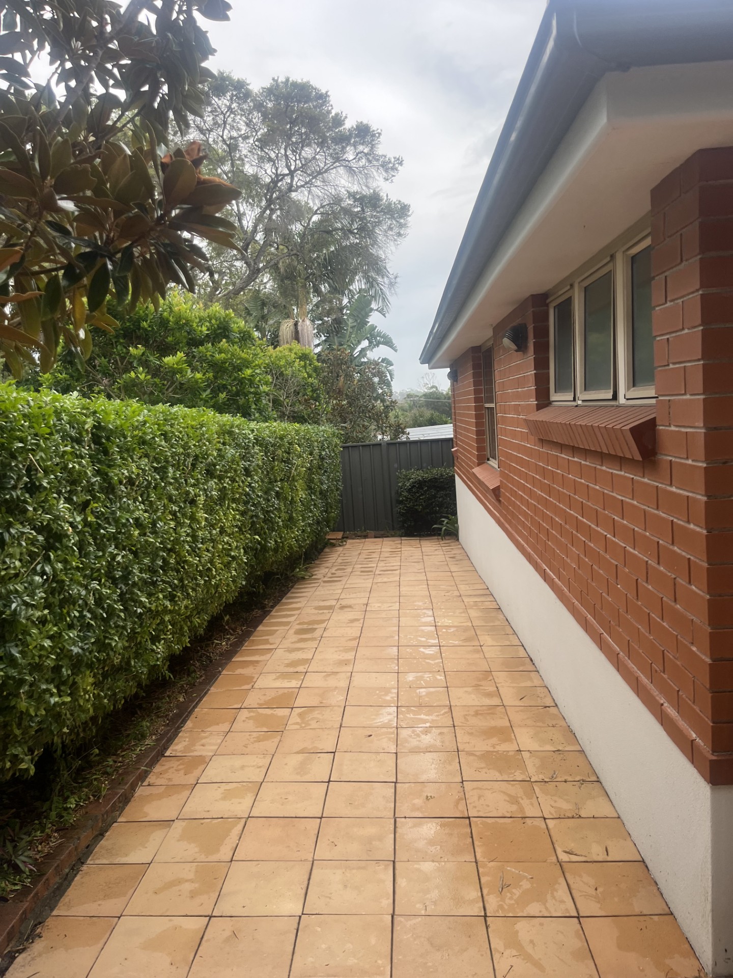 Jared O'Donnell — O'Donnell's Maintenance and Gardening