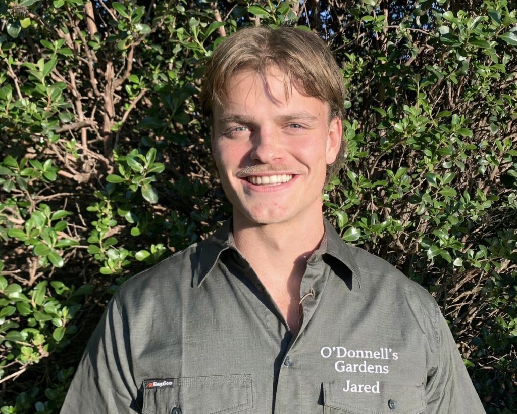 O'Donnell's Maintenance and Gardening — hedge trimming Canberra